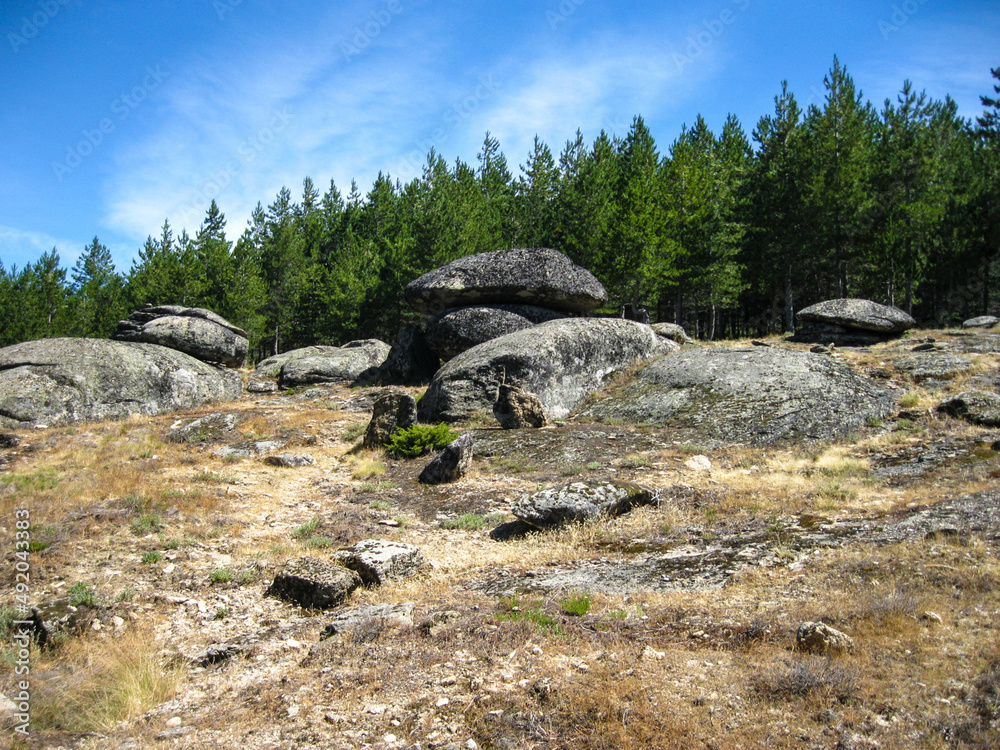 Mountains, stones, grass, forest, meadow, nature, landscape