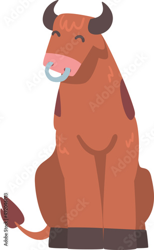 Brown Spotted Bull as Farm Cattle with Horns and Ring in the Nose in Sitting Pose