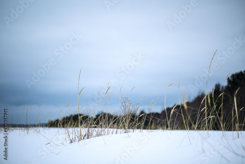 Landscape. Horizon. Snow. The Gulf of Finland. Coast.