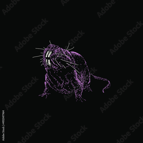 colored naked mole rat hand drawing vector illustration isolated on black background photo