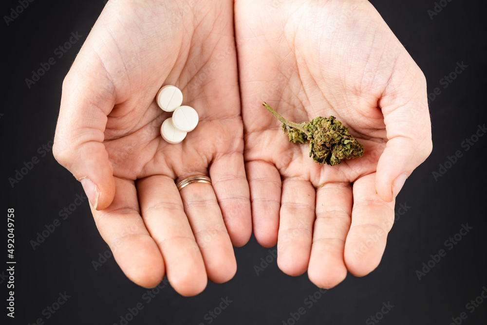 Marijuana and pills on female palms. Medical cannabis as an alternative to drugs concept. Marijuana and pills on female palms. Medical cannabis as an alternative to drugs concept.