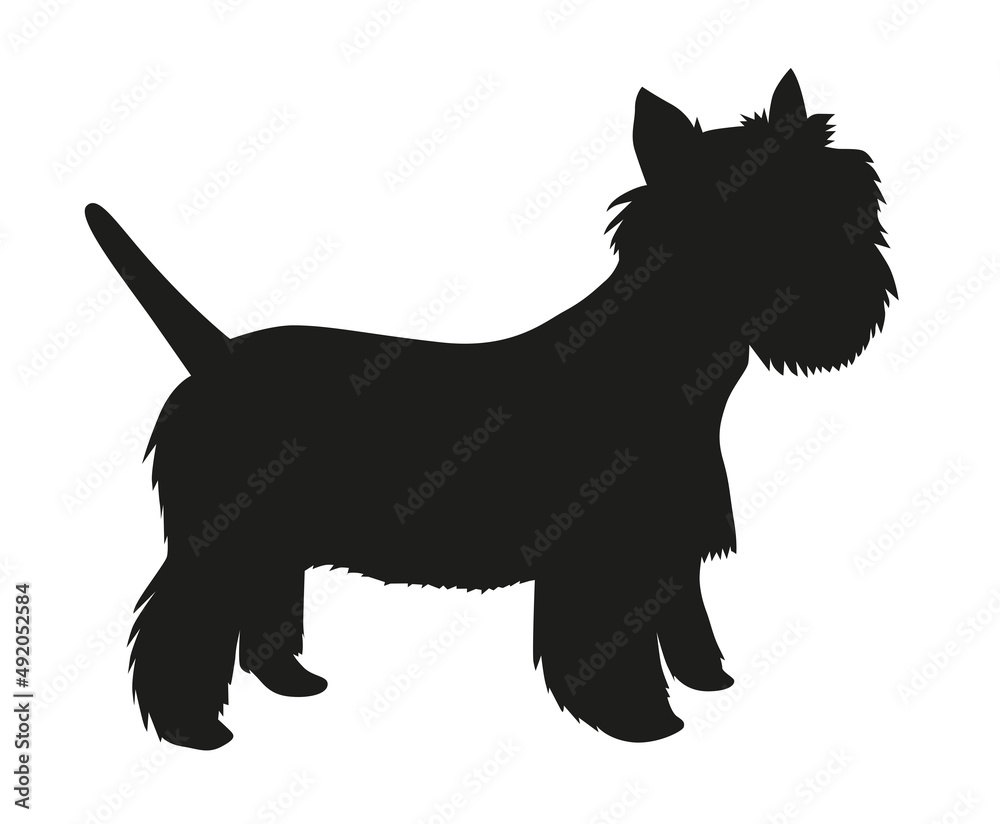 West Highland terrier  black silhouette of a standing dog