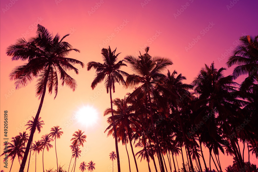 Pink vivid tropical sunset with coconut palm trees silhouettes on ocean beach