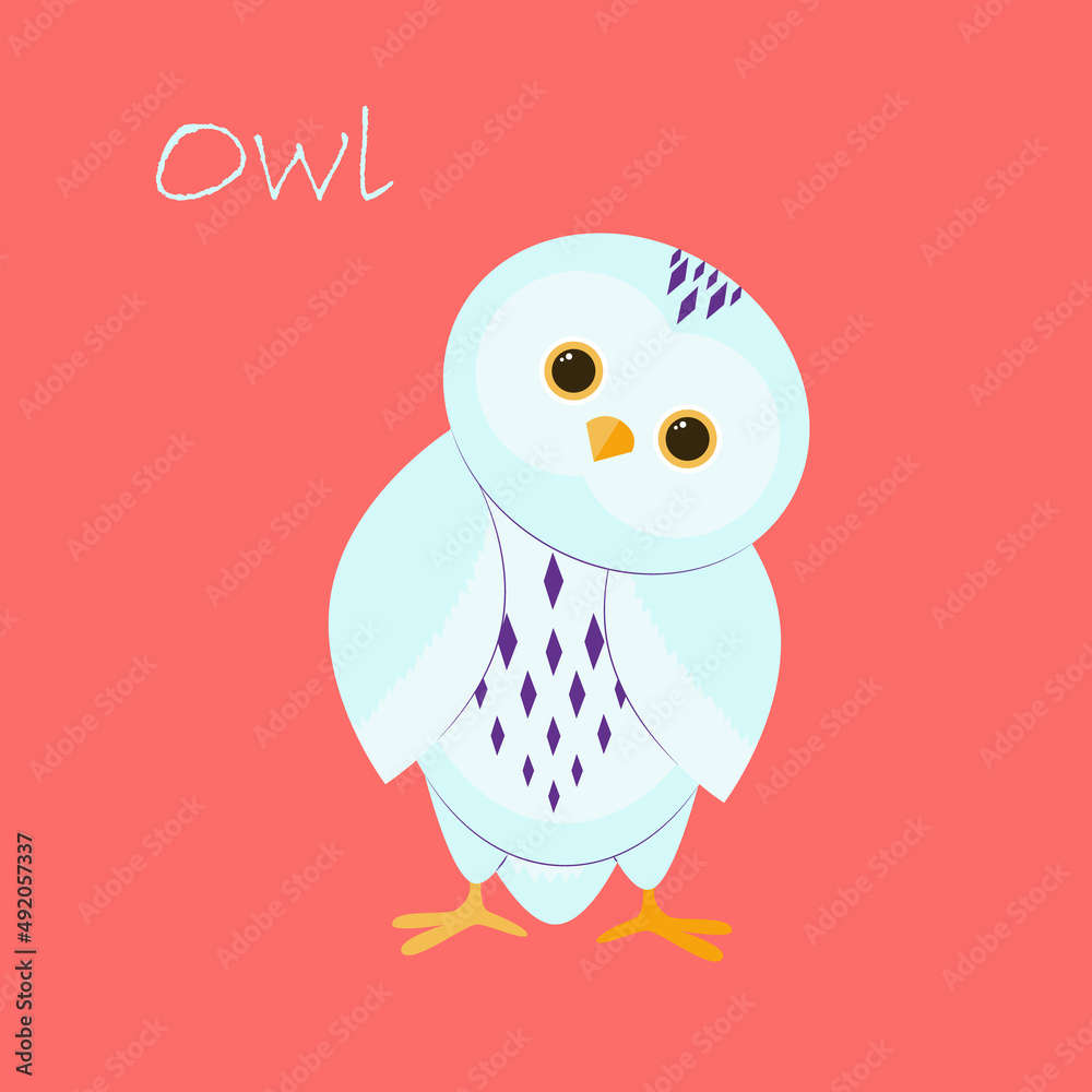 owl owl
