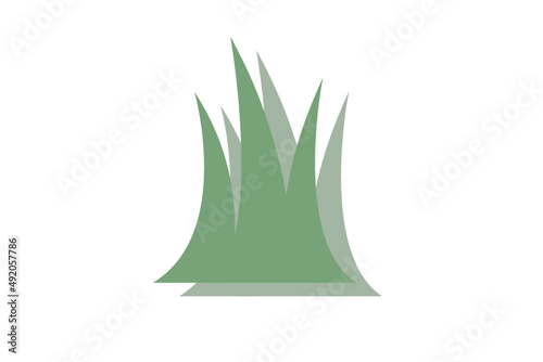Grass / Gras 