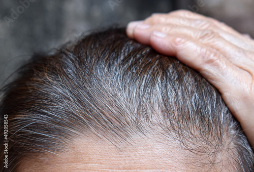 Grey color hair of Asian, Myanmar or Burmese elder woman. Symptom of aging.