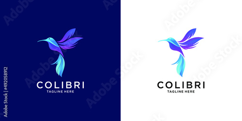 Modern colorful hummingbird logo template