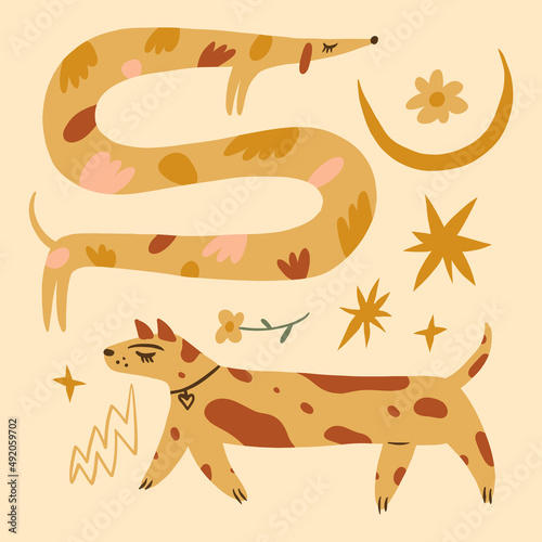 Vector clipart dog set dachshund stickers. Dogs breed. EPS and JPG illustration. Funky doodle trendy print, colorful handdrawn childish cartoon art. Groovy fauve abstract collage decor elements in