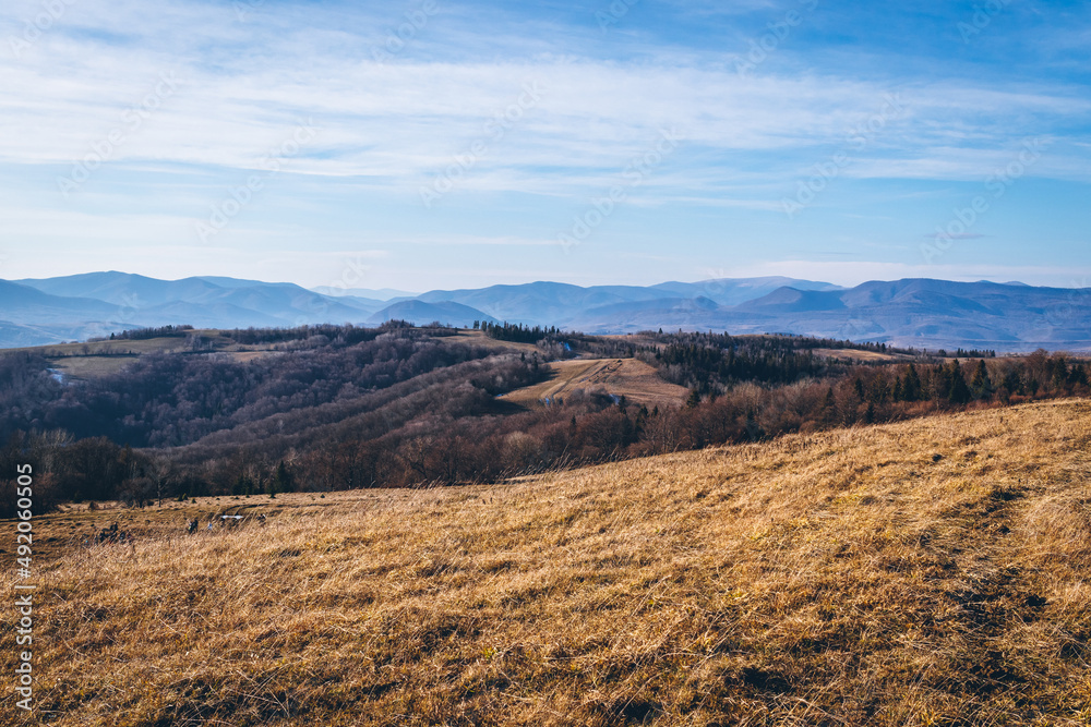 Mountain landscape on a sunny day in the foreground meadow