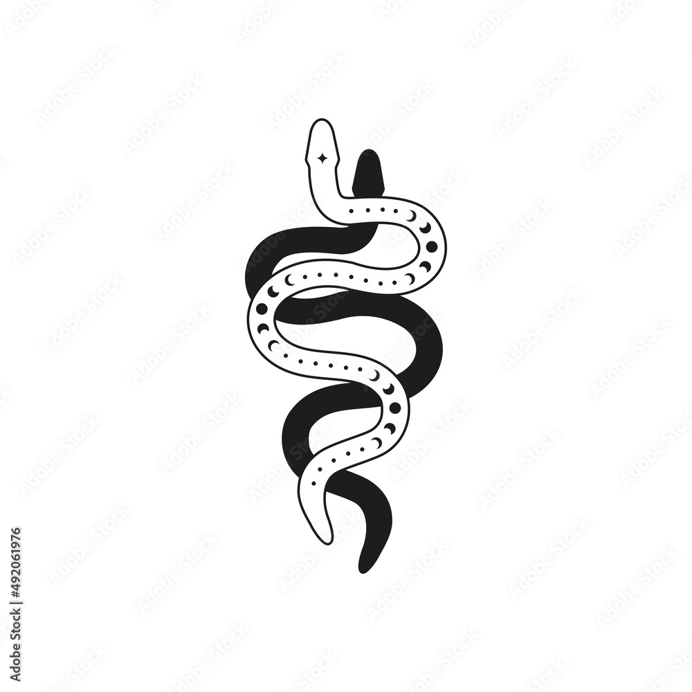 Fototapeta premium Two celestial snakes black and outline with moon phases.