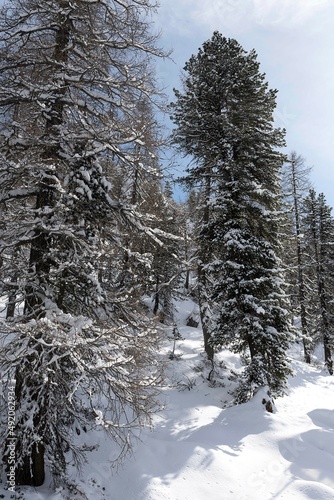 Cortina d Ampezzo Dolomiti Italia Snow