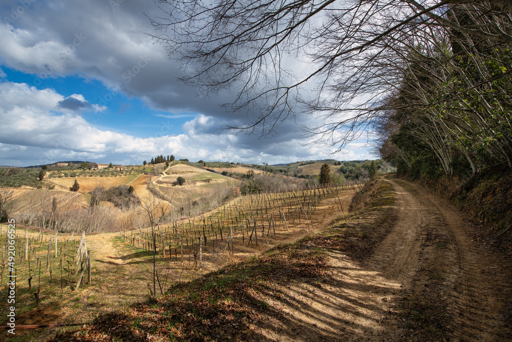 Fototapeta premium Land of Tuscany in Italy