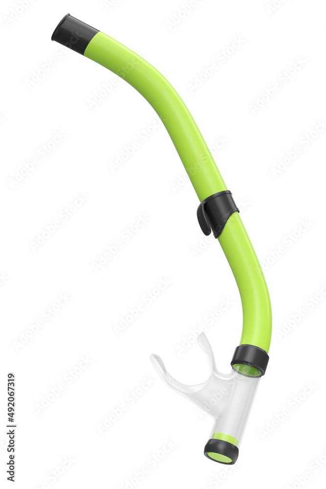 Green snorkel for diving and swimming in the pool isolated on white background Green snorkel for diving and swimming in the pool isolated on white background