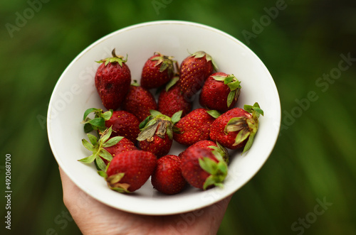 Strawberries in a bowl held by hand