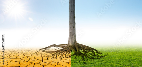 Klimawandel in eine grüne Umwelt