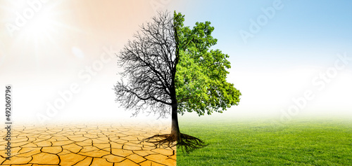 Klimawandel in eine grüne Umwelt