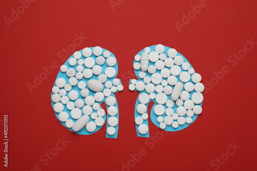 Paper cutout of kidneys with pills on red background, top view