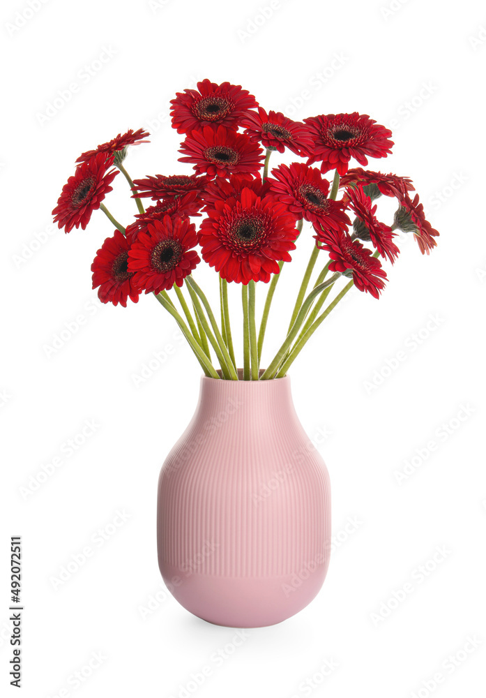 Bouquet of beautiful red gerbera flowers in vase on white background Bouquet of beautiful red gerbera flowers in vase on white background