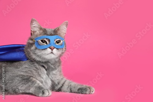 Adorable cat in blue superhero cape and mask on pink background, space for text