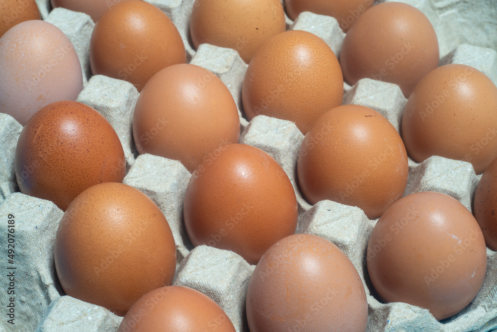 Close-up shot of chicken eggs placed in an egg carton. Protein foods are suitable for everyone. Close-up shot of chicken eggs placed in an egg carton. Protein foods are suitable for everyone.