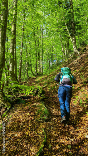 Woman on a hiking trail in the lush green dense forest in the Karawanks in Carinthia, Austria. Borders between Austria, Slovenia, Italy. Triglav National Park. Woodlands, wanderlust. Breathing, fresh