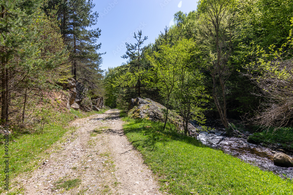 Path through the forrest near Fotinovo village in Bulgaria Path through the forrest near Fotinovo village in Bulgaria