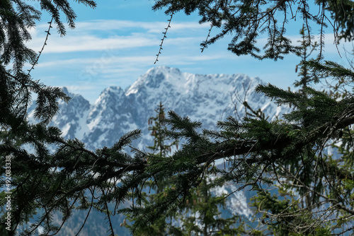 Scenic view of snow capped mountain peaks of Karawanks on the way to Sinacher Gupf in Carinthia, Austria. Mount Wertatscha is visible through dense forest in early spring. Rosental on a sunny day.Hike photo