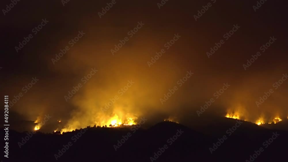 Forest Fire, Wildfire burning tree in red and orange color at night.