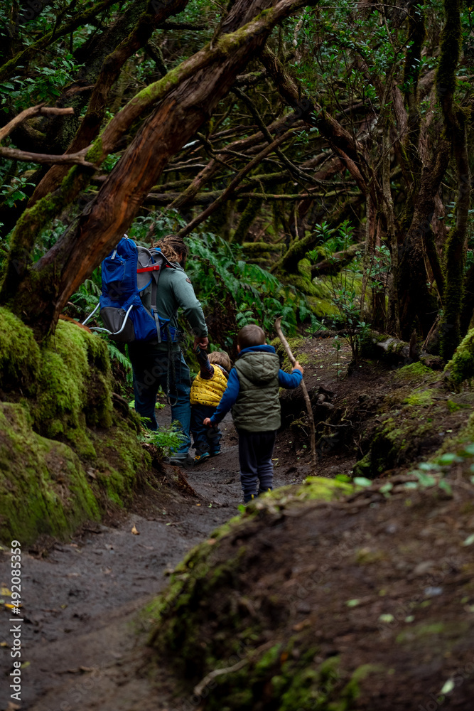 father with his children walking through the lush forest, full of mossy vegetation. Many trees covering the path. Anaga, Tenerife, Canary Islands father with his children walking through the lush forest, full of mossy vegetation. Many trees covering the path. Anaga, Tenerife, Canary Islands