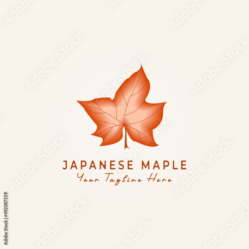 japanese maple logo vector illustration design nature fall leaf september floral natural