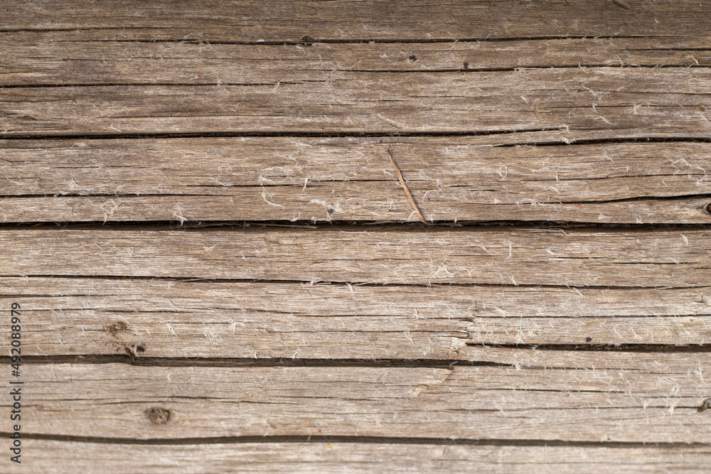 Old wood texture. Background. Old wood texture. Background.