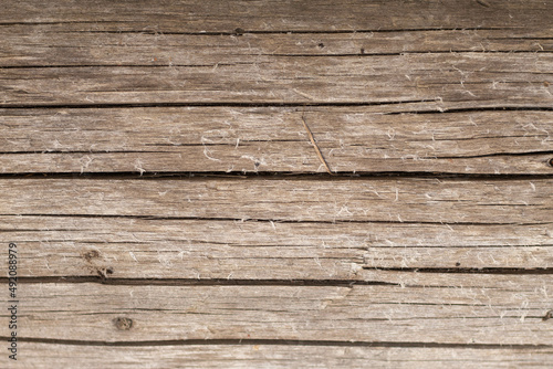 Old wood texture. Background.