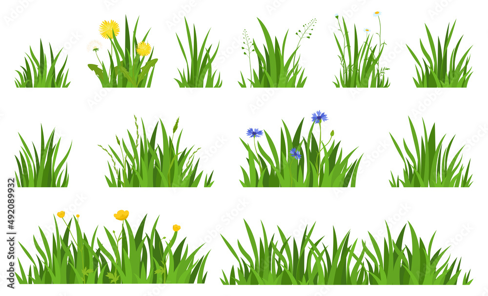 Collection natural green grass with flowers horizontal background vector flat illustration