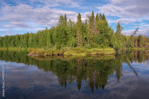 Reflection of trees in the water of Tumcha river on sunny summer day. Murmansk Oblast, Russia. © Kirill