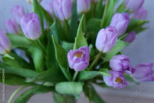Fototapeta Naklejka Na Ścianę i Meble -  Piękne fioletowe tulipany w bukiecie