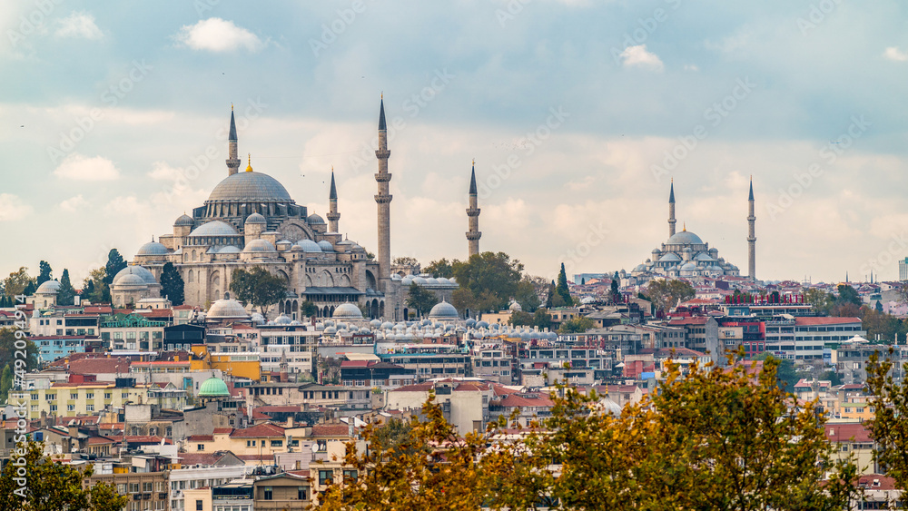 Obraz premium The two largest mosques in Istanbul