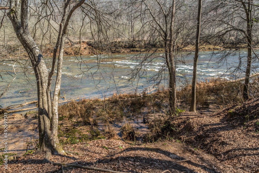 Fototapeta premium Alongside the riverbank by the shoals