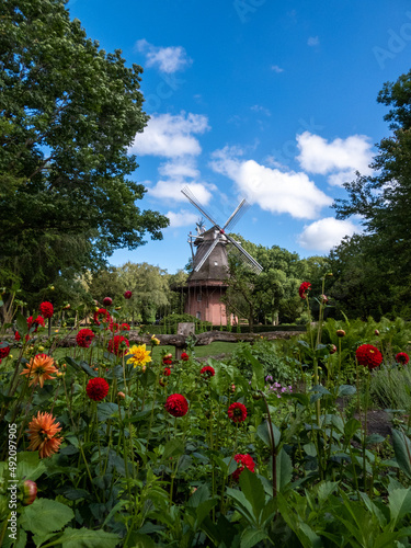 Windmühle, Bad Zwischenahn, Niedersachsen, Deutschland photo