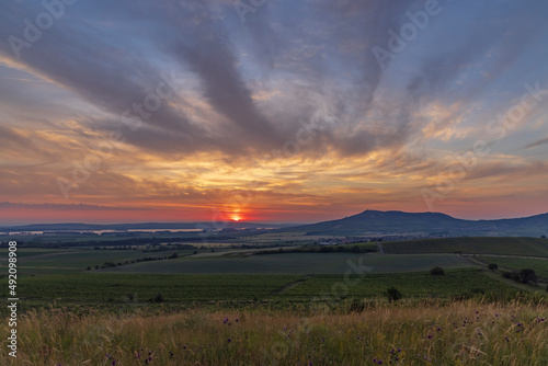 Sunrise in vineyards under Palava, Southern Moravia, Czech Republic © Richard Semik