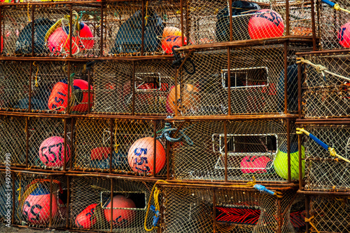 Colorful Crab Floats 