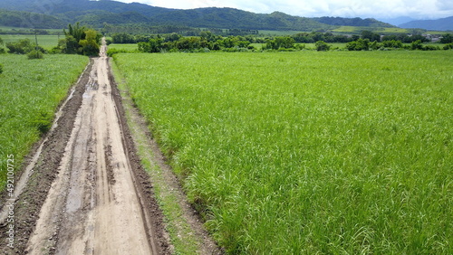 sugarcane cultivation in northwestern Argentina