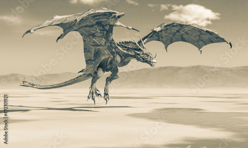 dragon is landing on the desert after rain