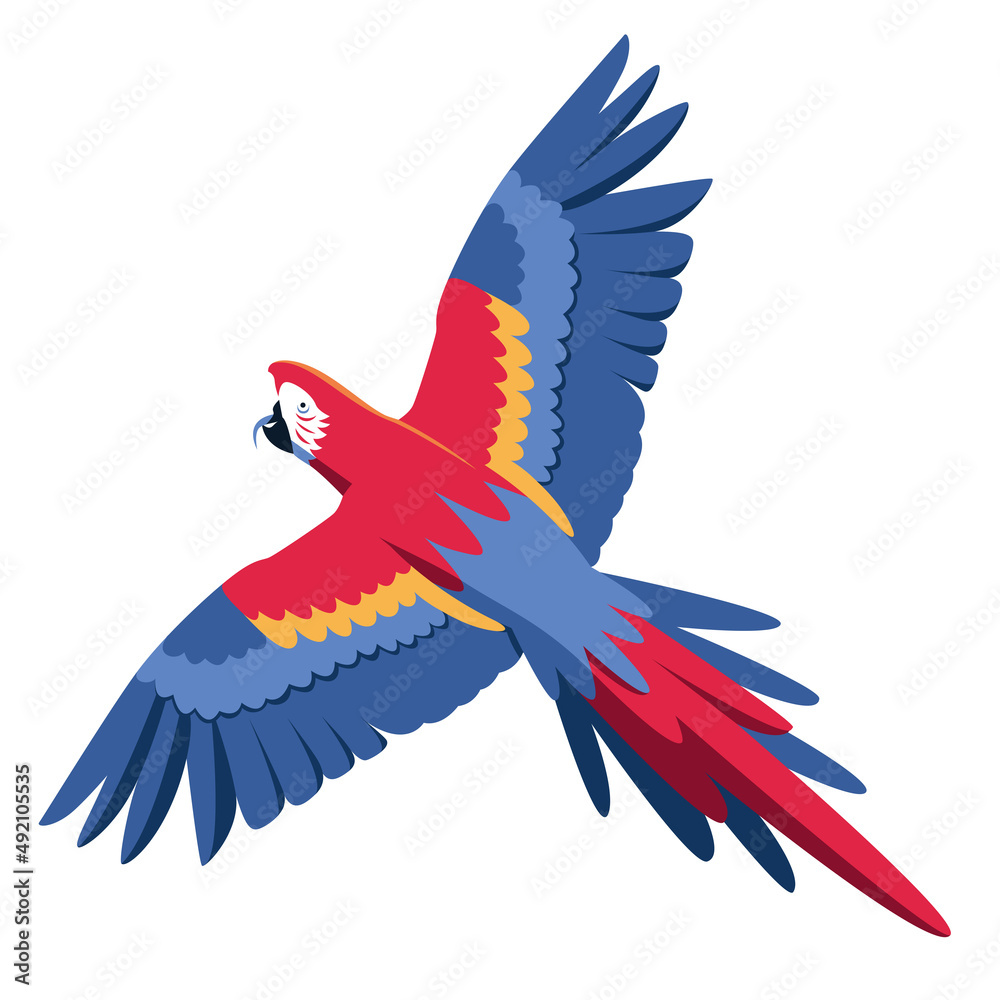 Isolated parrot flying Colombian bird Vector illustration