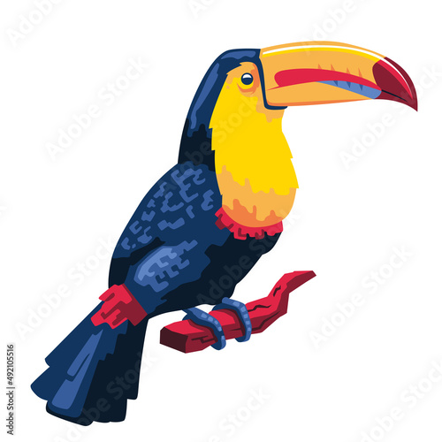 Fototapete Isolated toucan image Colombian bird Vector illustration