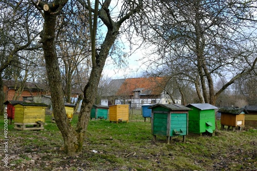 An apiary with colorful hives among trees. Building of farm in background.