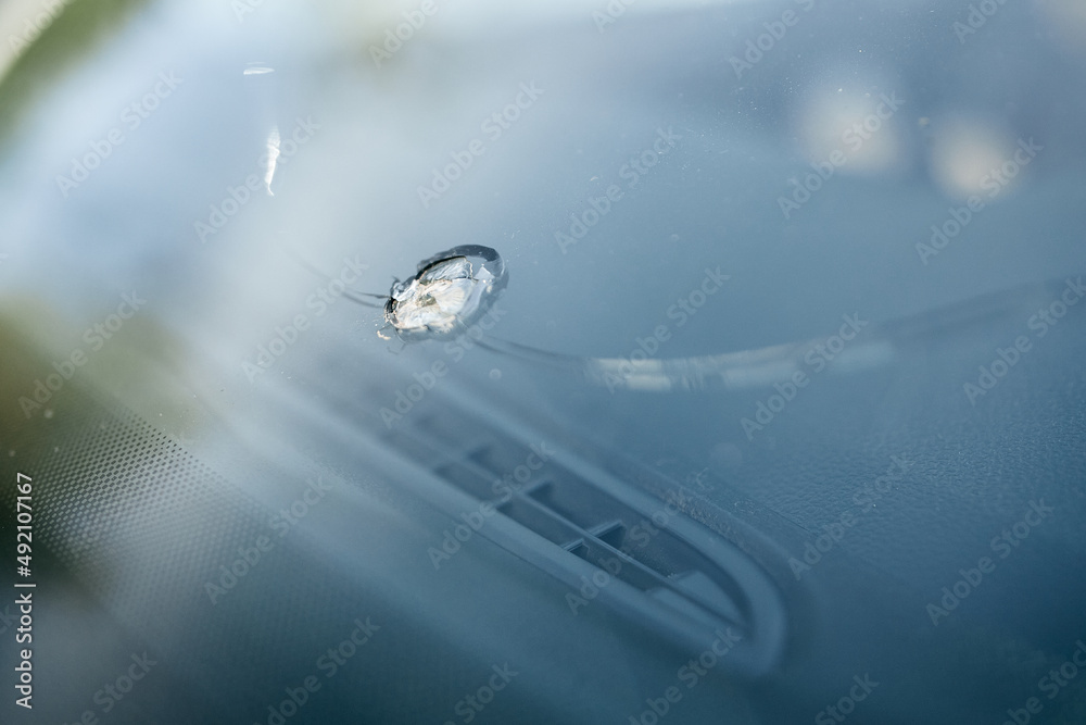 windshield chip, stone crack in glass Stock Photo Adobe Stock