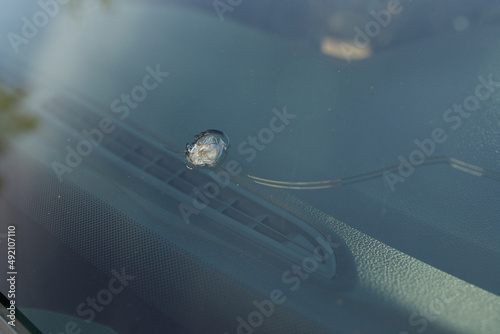 windshield chip, stone crack in glass