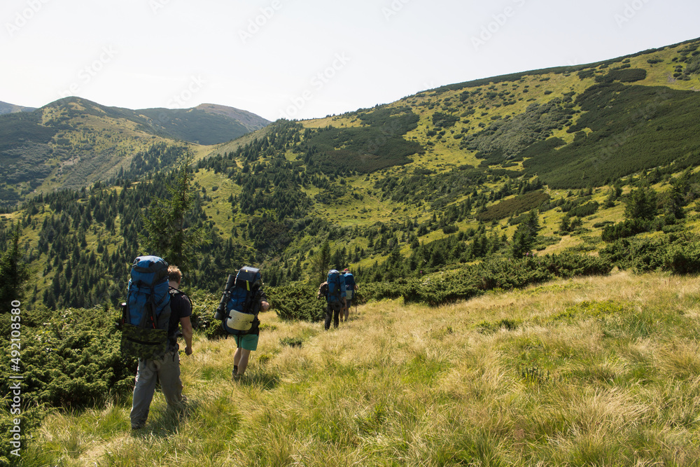 beautiful carpathian mountains, road, hills, forest, ukrainene