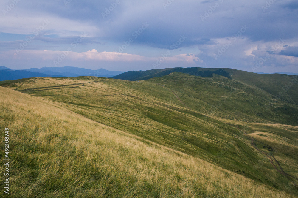 beautiful carpathian mountains, road, hills, forest, ukrainene