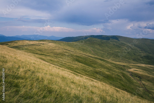 beautiful carpathian mountains, road, hills, forest, ukrainene